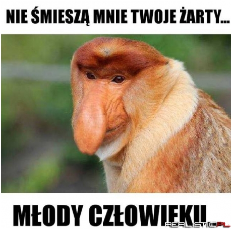 Ty i Twoje suchary xD