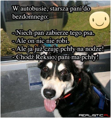 W autobusie