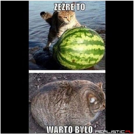 Warto było