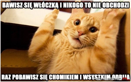 Wielkie mi halo