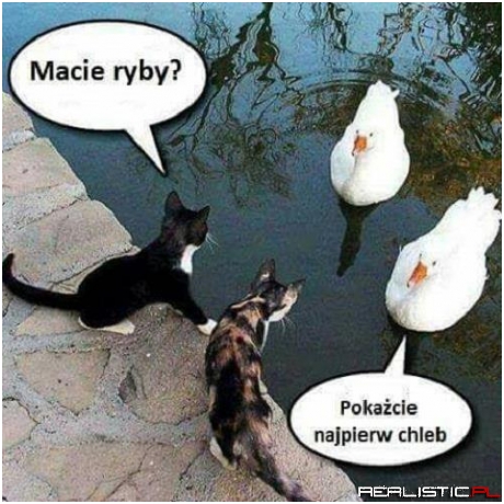 Wymiana ;)