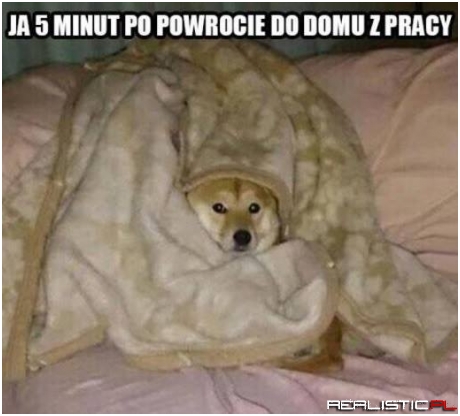 Zawsze