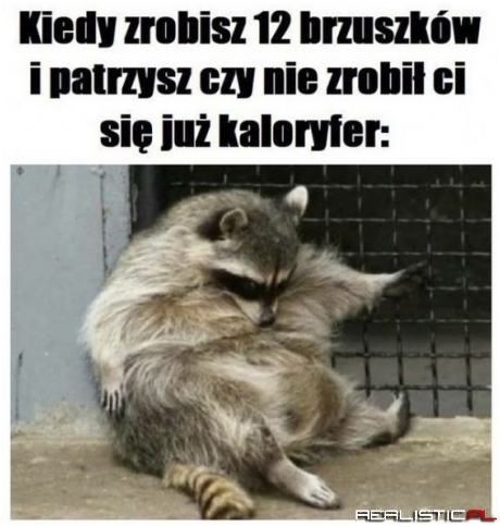 Brzuszki