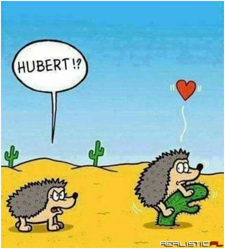 Co ten Hubert xD