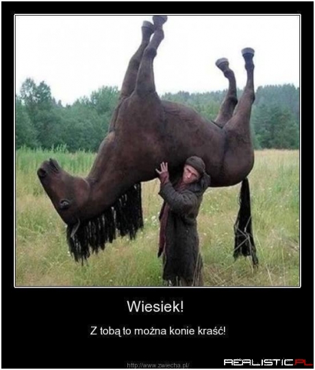 Co ten Wiesiek xD