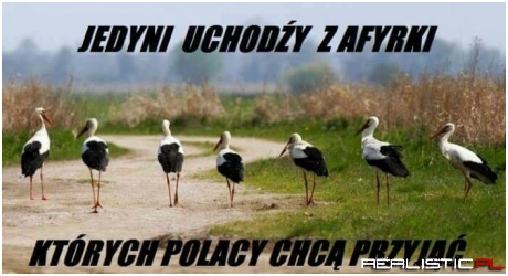 Jedyni...