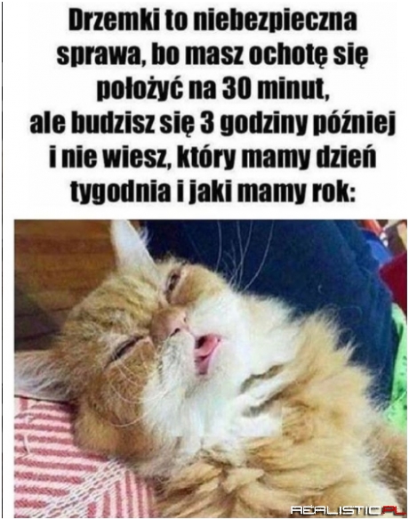 Jest tak!