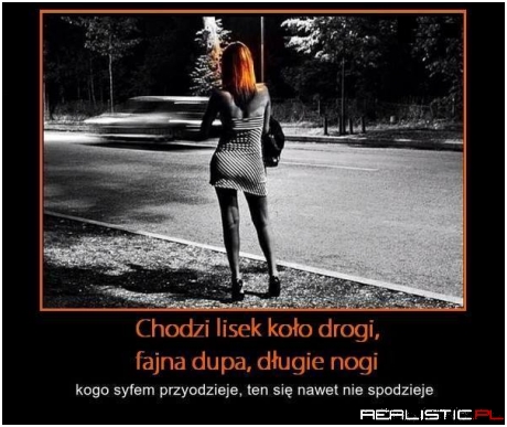 Lisek