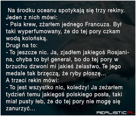 Na środku oceanu...