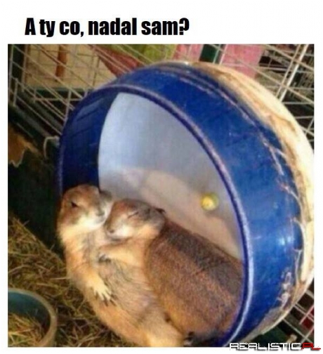 Nadal sam