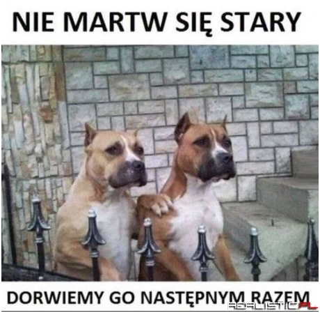 Nie martw się stary!