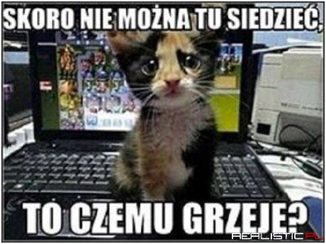 No właśnie!