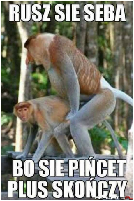 Rusz się Seba