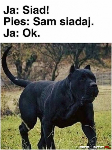 Siad piesek