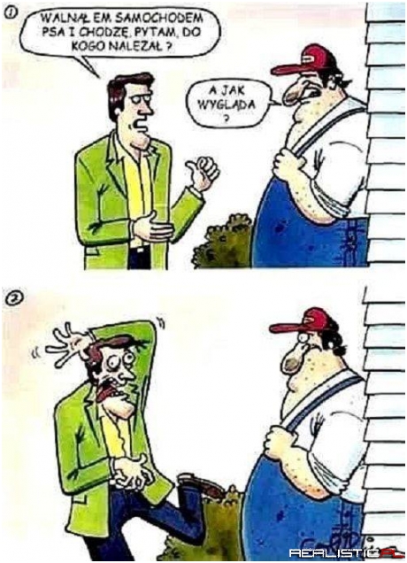 Tak głupie, że aż śmieszne