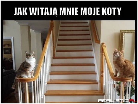 Tak mnie witają