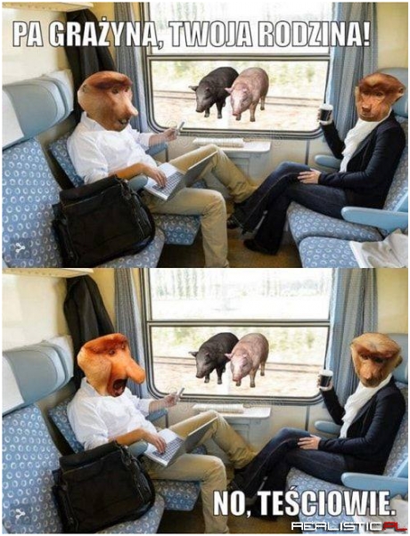 Teściowie xD