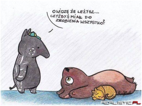 Wszystko do zrobienia
