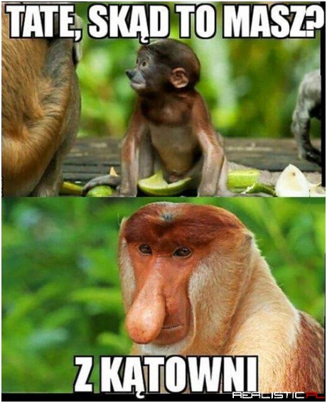 Z kątowni xD