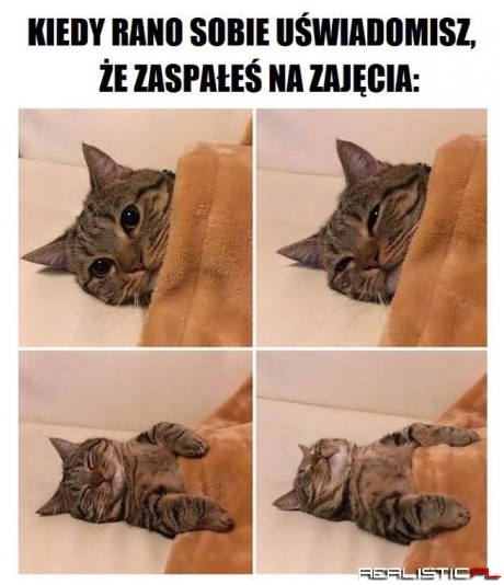 Zajęcia nie uciekną