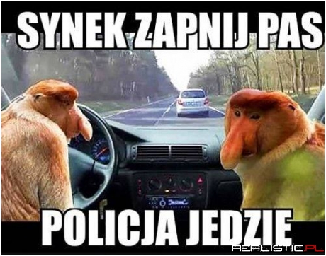 Zapnij pas!