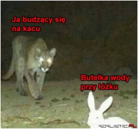 Zawsze