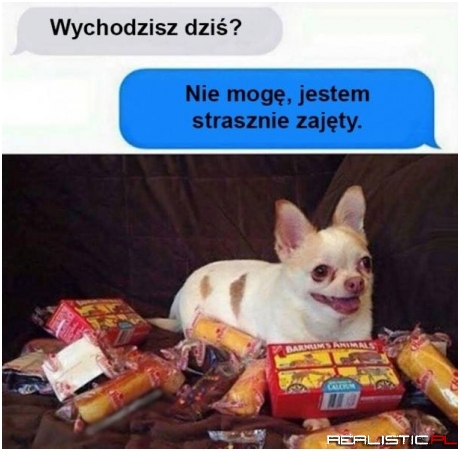 Zawsze