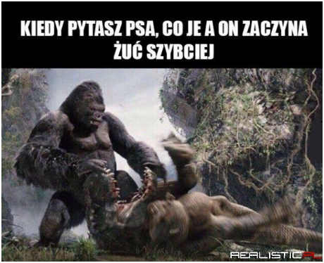 Zawsze