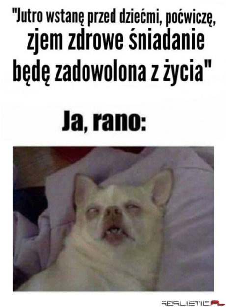 Zawsze to samo