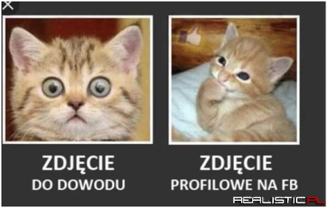 Znajdź różnicę xD