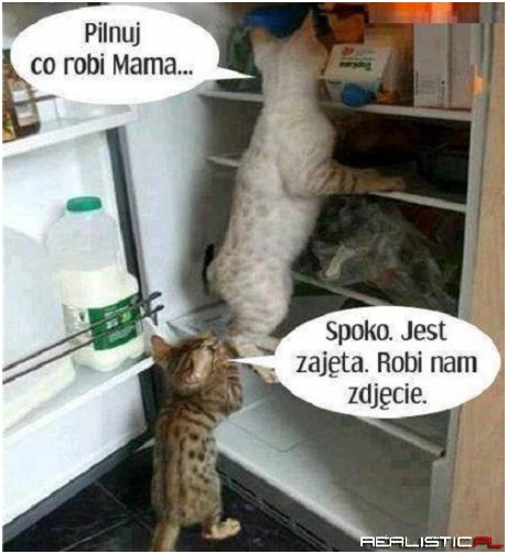 Akcja lodówka