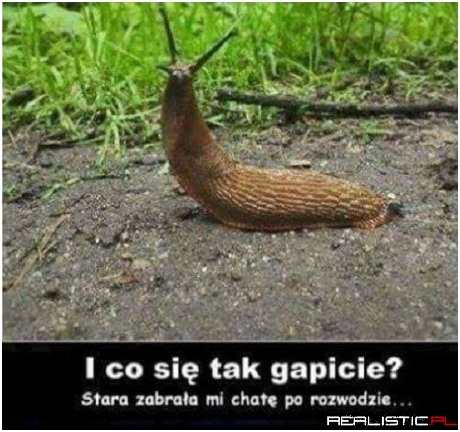 Bidulek