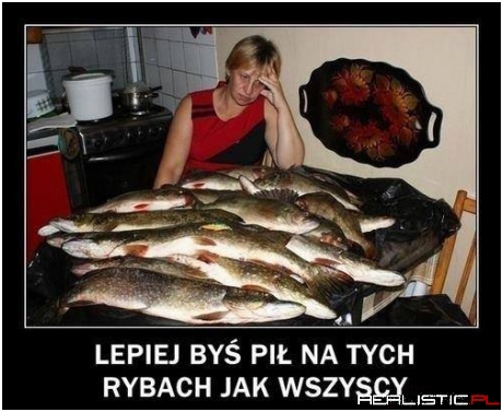 Co ja z tym teraz zrobię