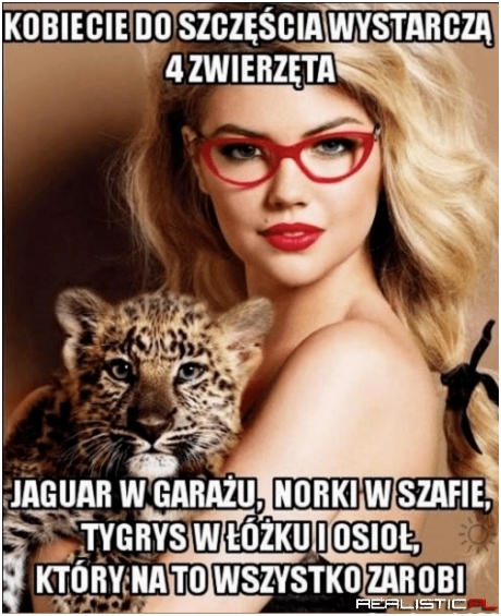Coś w tym jest