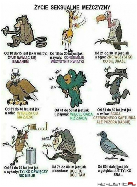 Coś w tym jest...