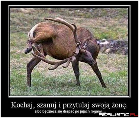 Cwaniaczek