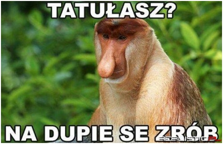 Dokładnie!