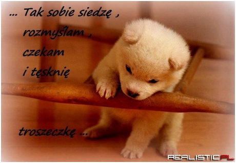 Gdzie ta wiosna