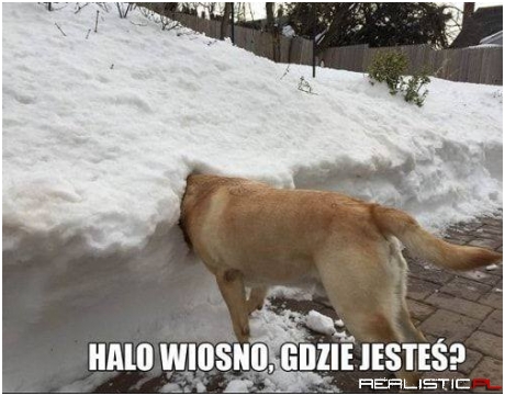 Gdzie ta wiosna!
