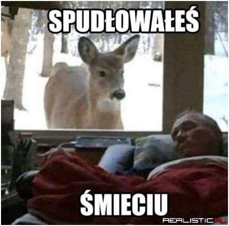I z kopytka!