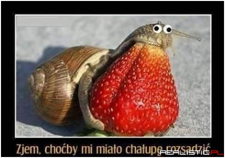 Ja nie zjem