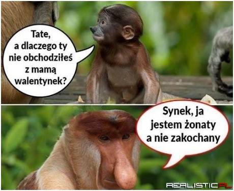 Jak żyć xD