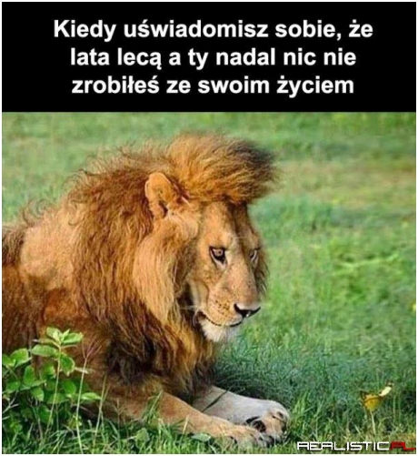 Latka lecą