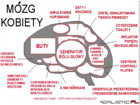 Mózg kobiety