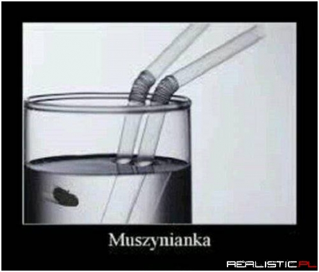 Muszynianka
