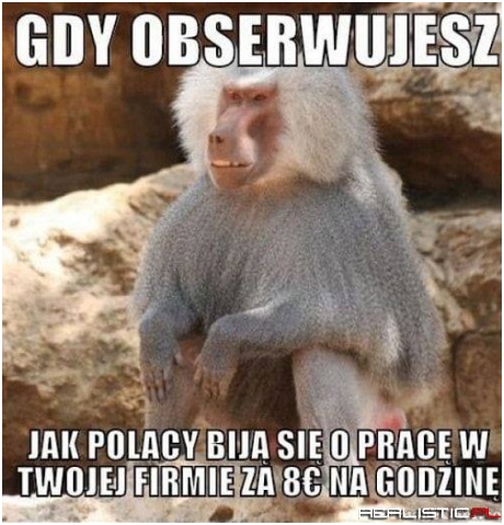 Obserwacja