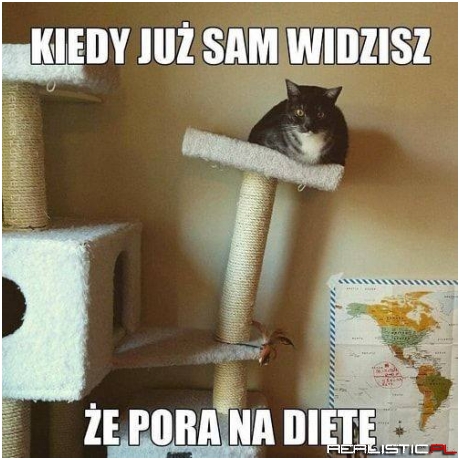 Pora na dietę