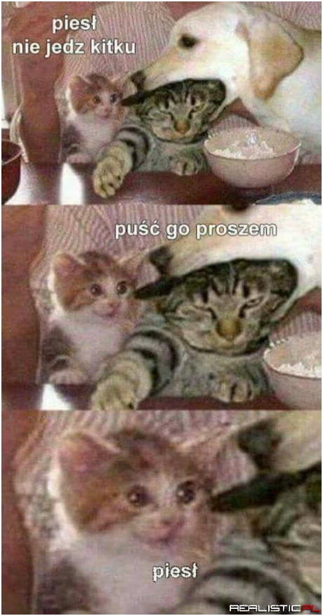 Proszem xD