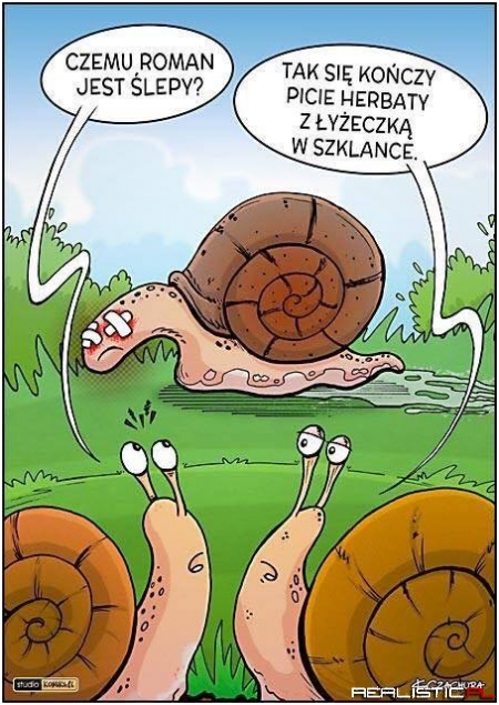 Ślepy Roman