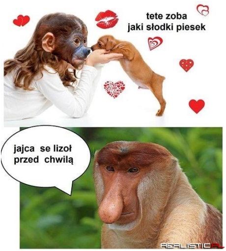 Słodki piesek